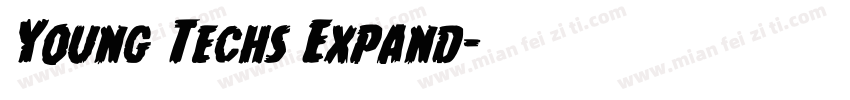 Young Techs Expand字体转换